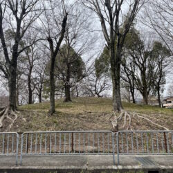 物件から道路側に向かっての写真